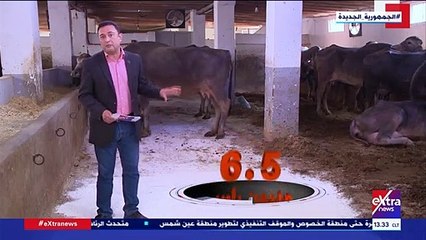 تقرير يكشف بالأرقام تطوير مشروع تنمية البتلو فى مصر