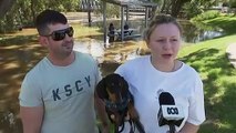 Goondiwindi's levee saves town from flooding, but surrounding areas are under water