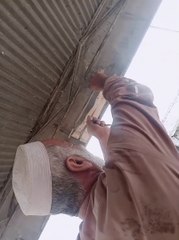 My papa building nest for bird 