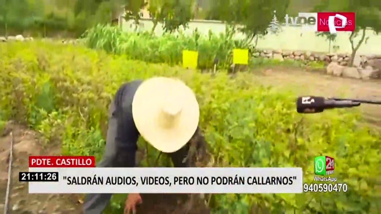 Pedro Castillo: "saldrán audio, saldrán videos, pero no podrán callarnos"