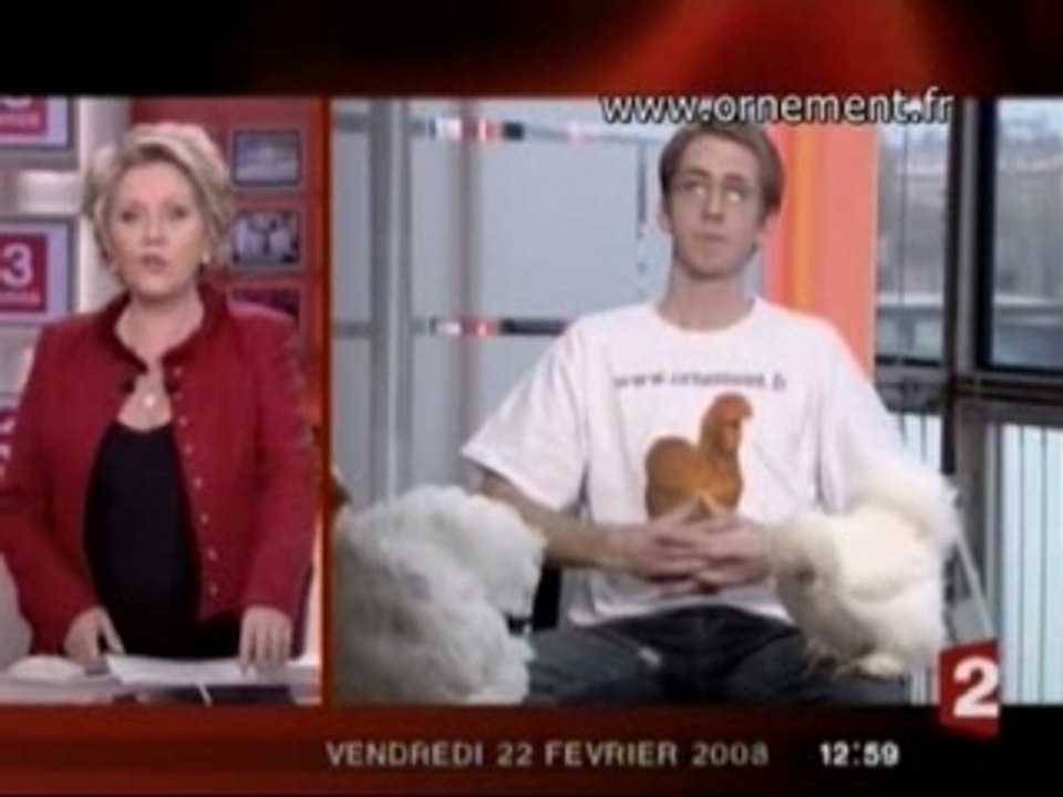 ornement.fr cyril nevot au jt de france2