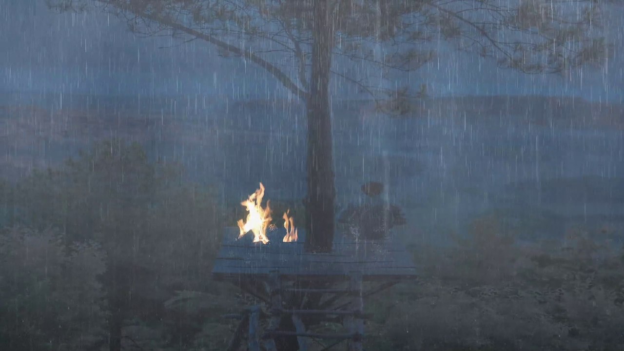 Ngắm Mưa Trên Cây, Bị Sét Đánh, Tiếng Mưa Rơi Dễ Ngủ, Giảm Stress, Soothing Relaxation Phile Rain