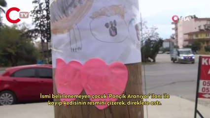 'Ponçik' için yürekleri ısıtan kayıp ilanı