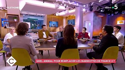 Les poules remplacent les marmottes sur France 3