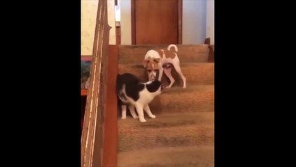 Zooming in the 90s fixed