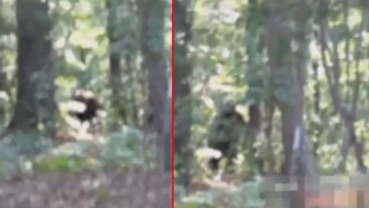 Kocaayak'ın bugüne kadar çekilmiş en net görüntüsü! Artık gerçek olduğuna inanıyorlar