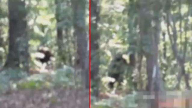 Kocaayak'ın bugüne kadar çekilmiş en net görüntüsü! Artık gerçek olduğuna inanıyorlar