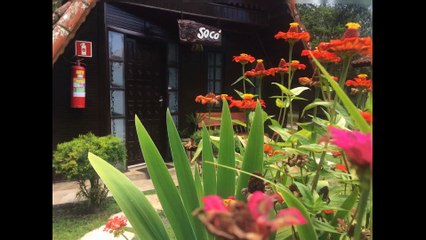 Pousadas dos pássaros - Iguape - São Paulo