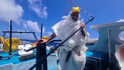 Les insolites - Voile - Transat Jacques-Vabre