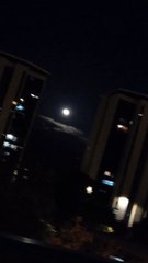 Grenoble Novembre 2021 #France #Isère #grenoble #grenoblecity #grenobletourisme #grenoblealpesmetropole #grenoblelife #francetourisme (50)