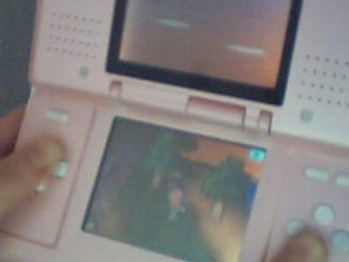 Balade Animal Crossing en Irène et moi