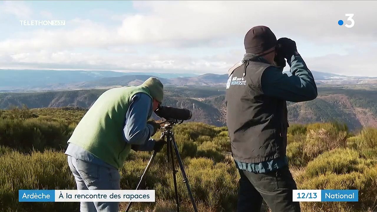 Ardèche : à la rencontre des rapaces, espèces méconnues du grand public