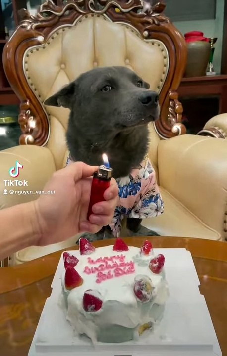 Idol Nguyễn Văn Dúi mừng sinh nhật 2 tuổi