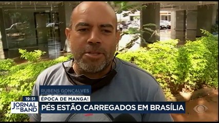 Nesta época do ano, Brasília se transforma: é manga pra todo lado. Quem gosta da fruta aproveita! #BandJornalismo