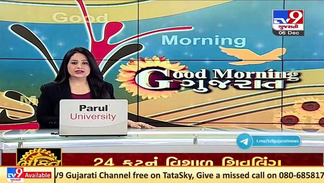 Amreli_ Lion pride seen roaming in residential area of Dhari _ TV9News