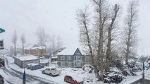 Upper reaches of Kashmir receive snowfall