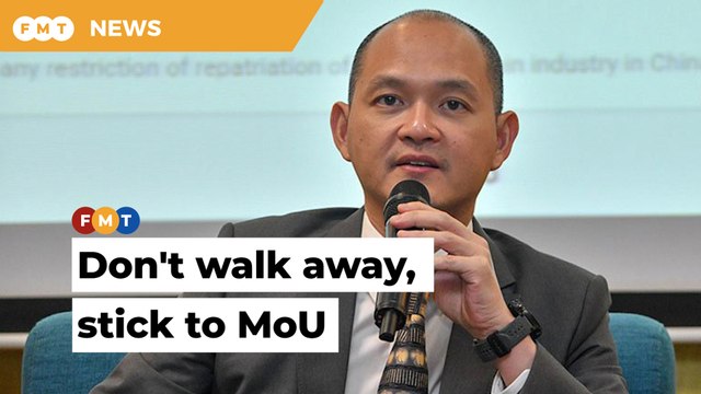 Don’t allow Umno leaders to trigger a collapse of federal govt, says MP