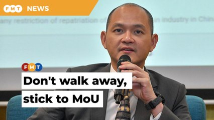 Don’t allow Umno leaders to trigger a collapse of federal govt, says MP