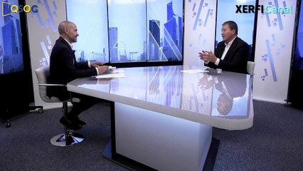 Ces animaux de la jungle de l’innovation : stratégie, organisation, finance [Nicolas Mottis]