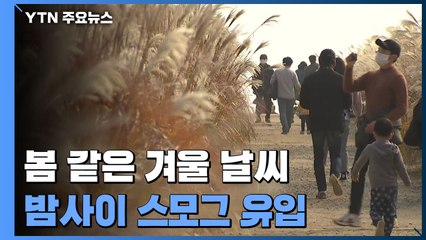 [날씨] '봄 같은 겨울' 서울 12.1℃ ...밤사이 中 스모그 유입 / YTN