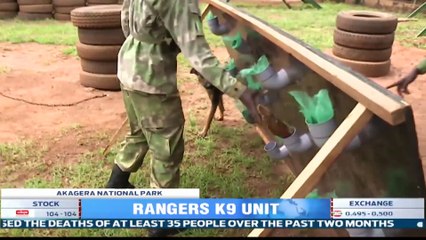 How K-9 unit fights poachers in Akagera National Park