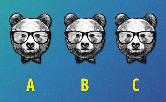 Seuls les plus observateurs trouveront l’intrus parmi ces 3 ours