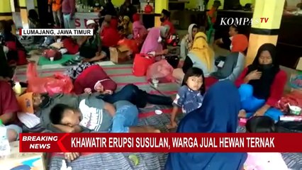 Khawatir Erupsi Susulan Gunung Semeru, Warga Terpaksa Jual Hewan Ternaknya