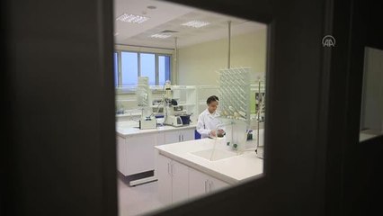 KIRKLARELİ - Ortaokul öğrencisi avokado çekirdeğinden "doğal renk maddesi" üretti