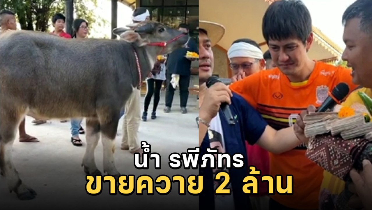 น้ำ รพีภัทร ร้องไห้โฮ จำใจขายควาย 2 ล้าน หลังให้สัจจะ