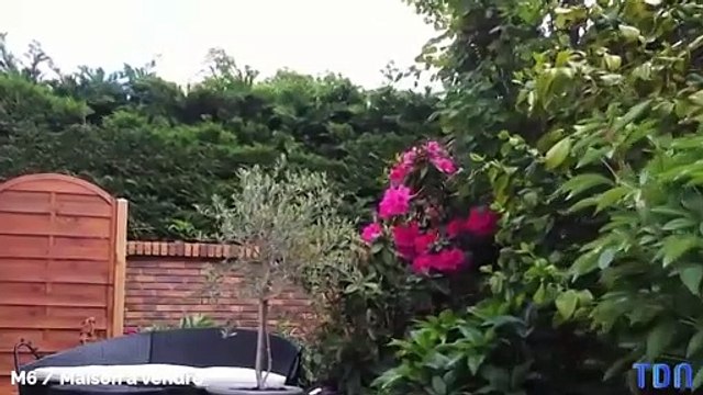 Maison à vendre : la remarque coquine de Stéphane Plaza pour vendre la maison de Corinne