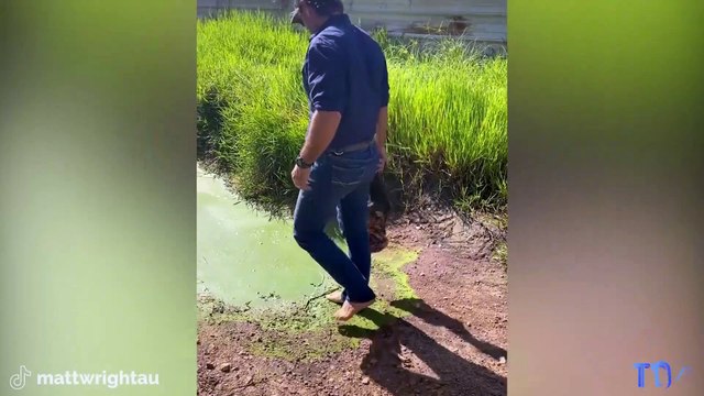 Ce crocodile avait très faim