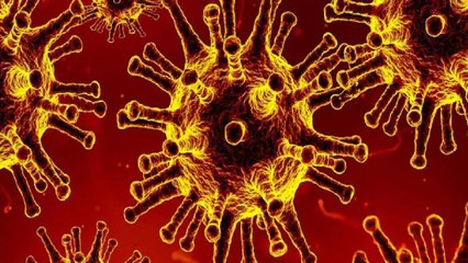 Omicron more contagious: All you need to know