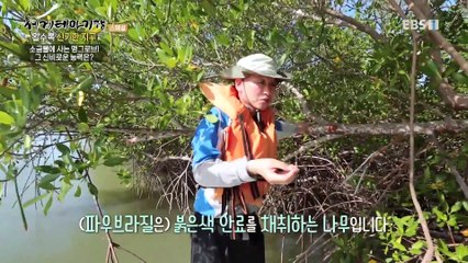 세계테마기행 - 알수록 신기한 지구- 물과 바람의 마법_#003