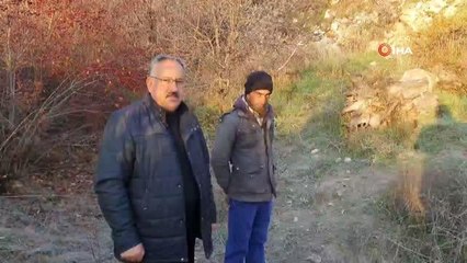 Kurdun saldırısını köpekler önledi