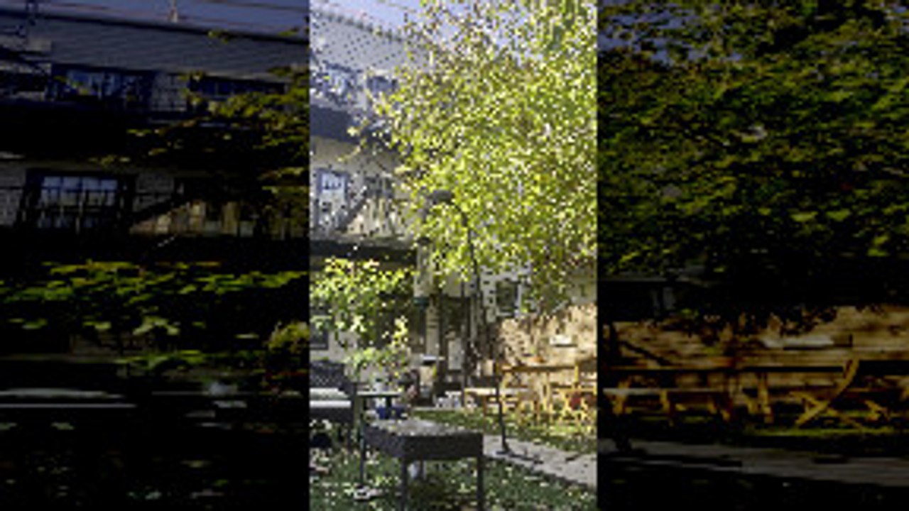 Squirrel Proof Bird Feeder Sends Squirrels Flying