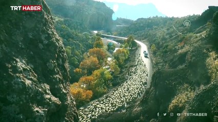 Göçerlerin kışlık çadırlarındaki zorlu mücadelesi