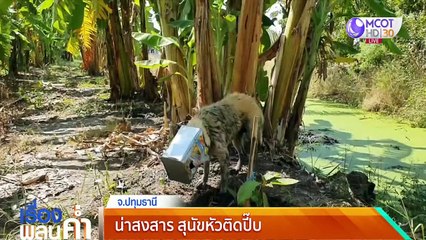 เรื่องพลบค่ำ (ช่วงที่ 2) วันจันทร์ที่ 6 ธันวาคม 2564
