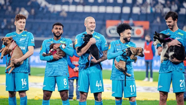 Russie : les joueurs du FC Zénith entrent sur la pelouse avec des chiens dans les bras
