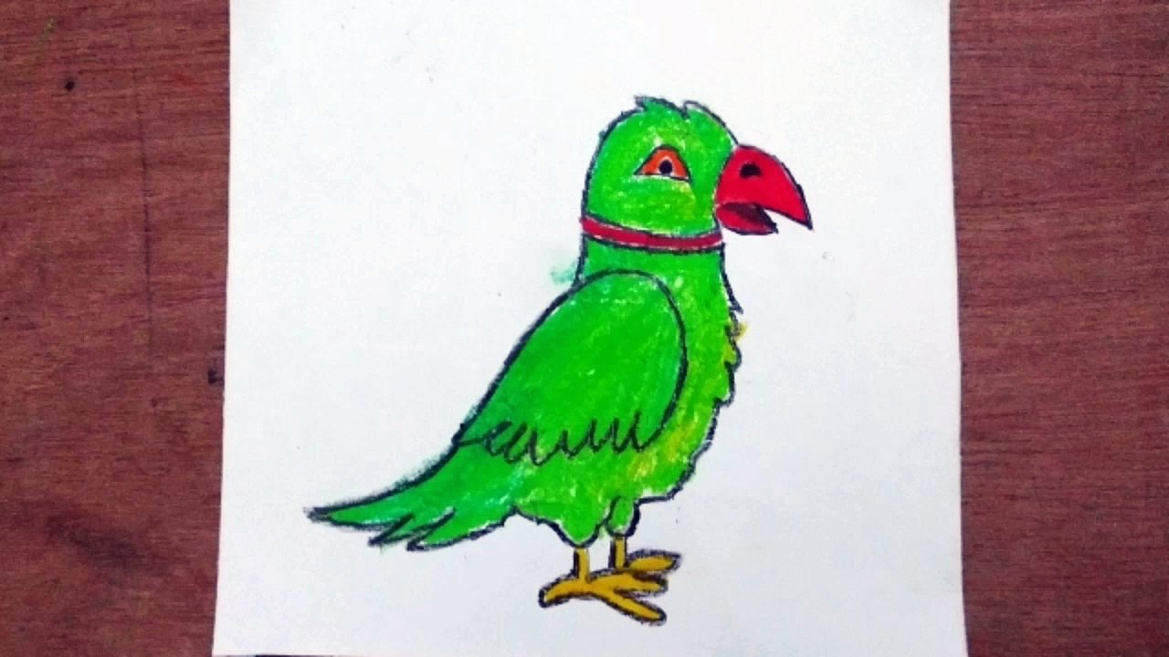 How to draw Parrot
