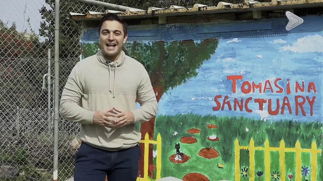 Animal Diaries - S10E06