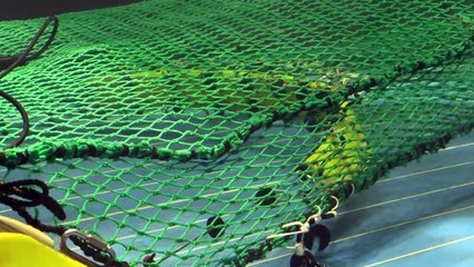 Dans le Morbihan, des filets de pêche intelligents pour réduire les captures inutiles