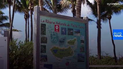 Petite Terre: Μια προστατευόμενη περιοχή για την χλωρίδα και την πανίδα της Καραϊβικής