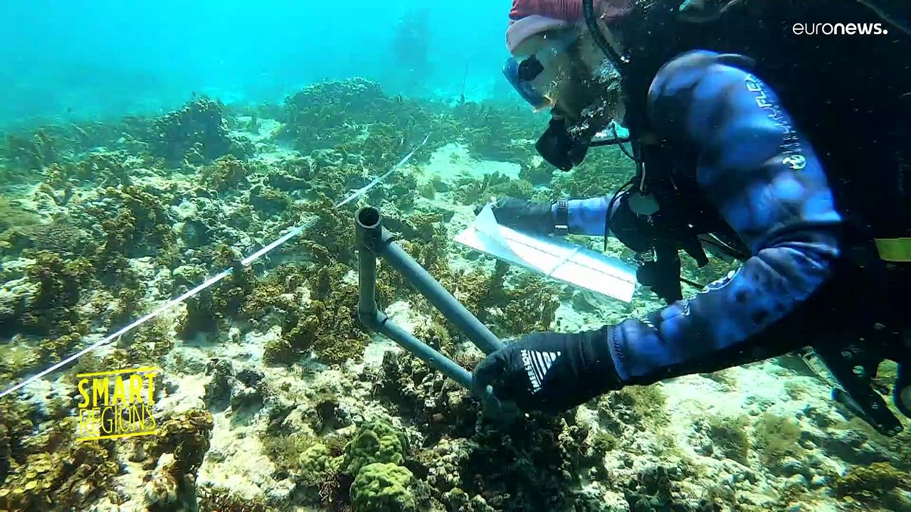 Petite Terre: ein fragiles Paradies in der Karibik