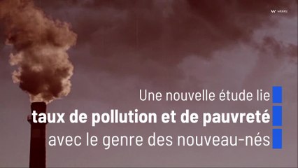 Une nouvelle étude lie taux de pollution et de pauvreté avec le genre des nouveau-nés