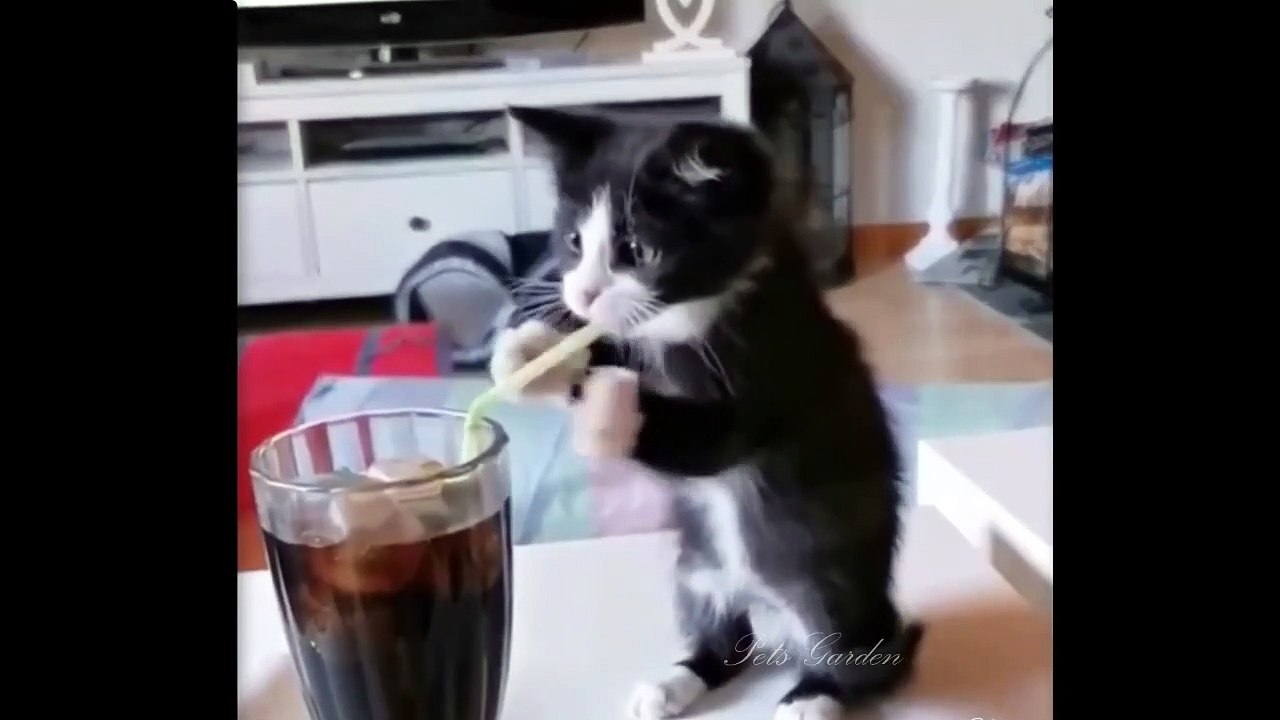 Fanyy video fanuny