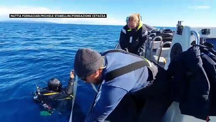 Ambiente, progetto Soundscape: la voce del mare spenta dal rombo dei motori