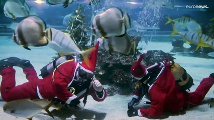 Dalle pinne agli sci: Babbo Natale come non l'avete mai visto
