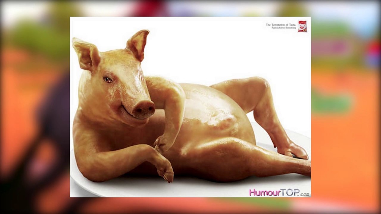 Alexandra Ledermann : L'enquête