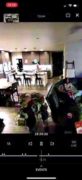 Toddler Throwing Ball For Dogs Clocks Mom on the Head