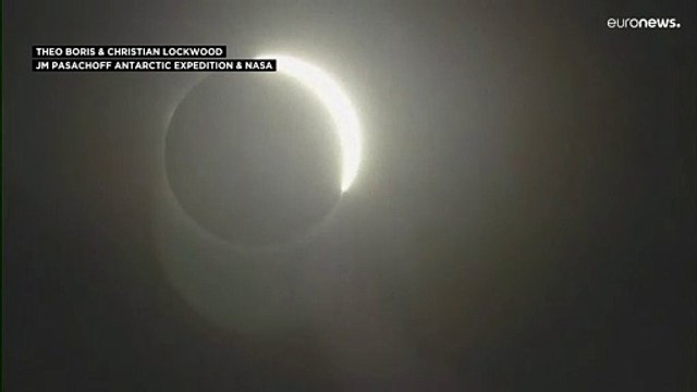 Полное солнечное затмение для пингвинов